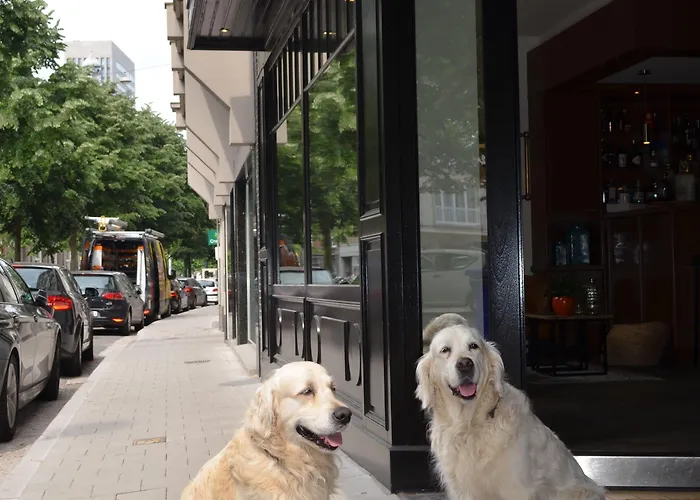 卡尔顿酒店 酒店 根特